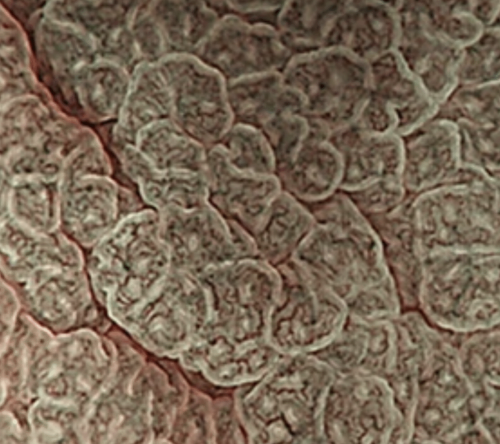 screenshot 2025 07 27 at 14.56.19